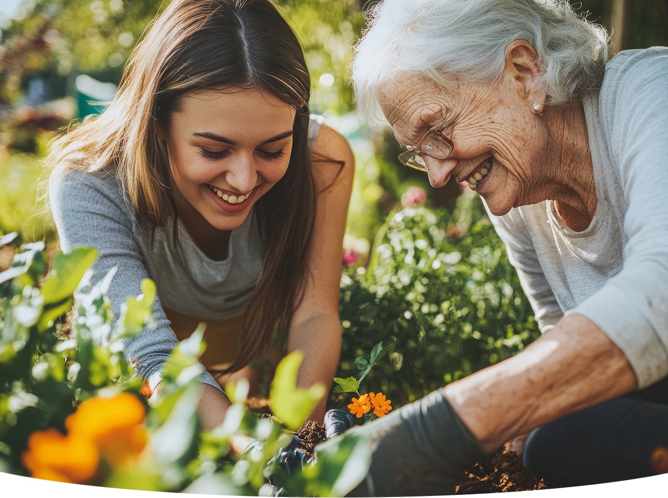 Lush green garden thriving with Michigan Peat growing media